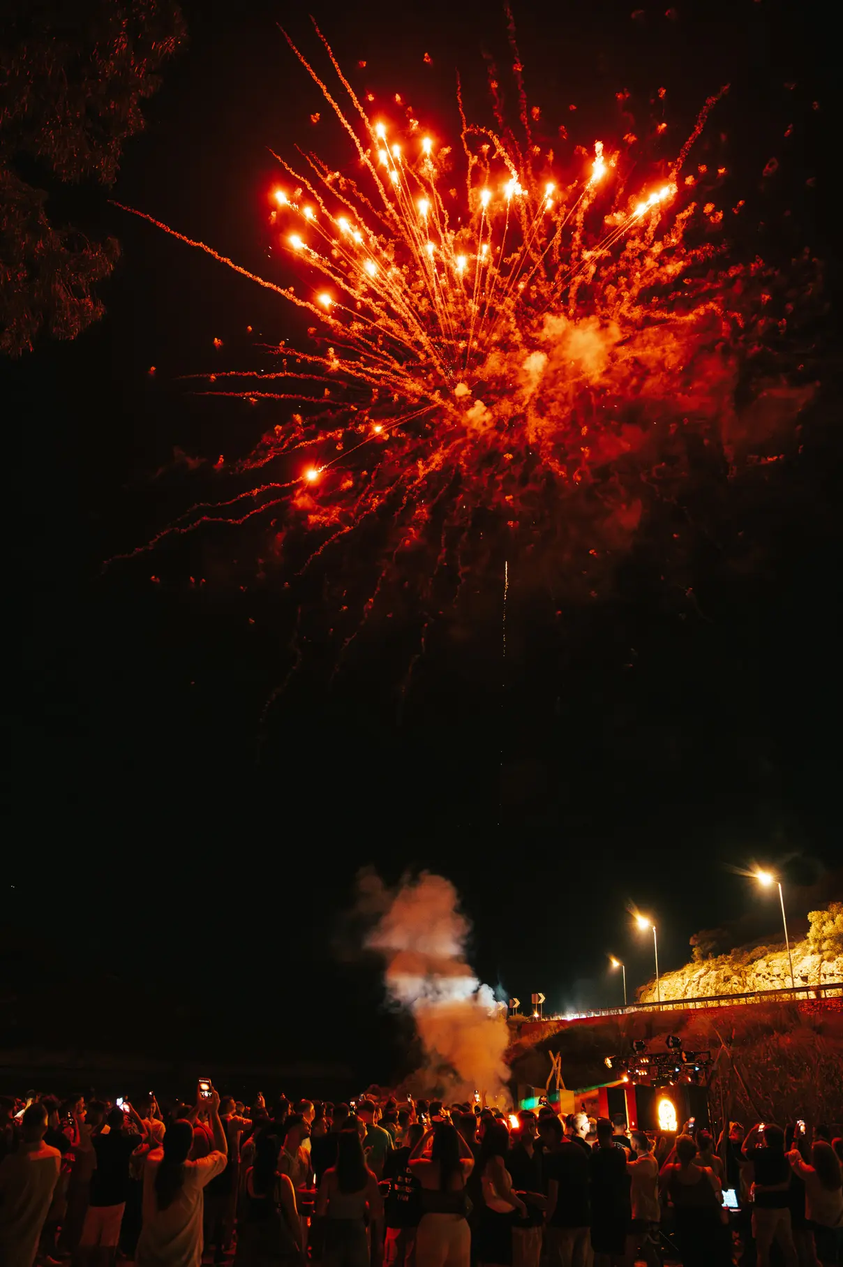 Fireworks and crowd at Alpha Omega Party